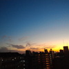 NEC_0258