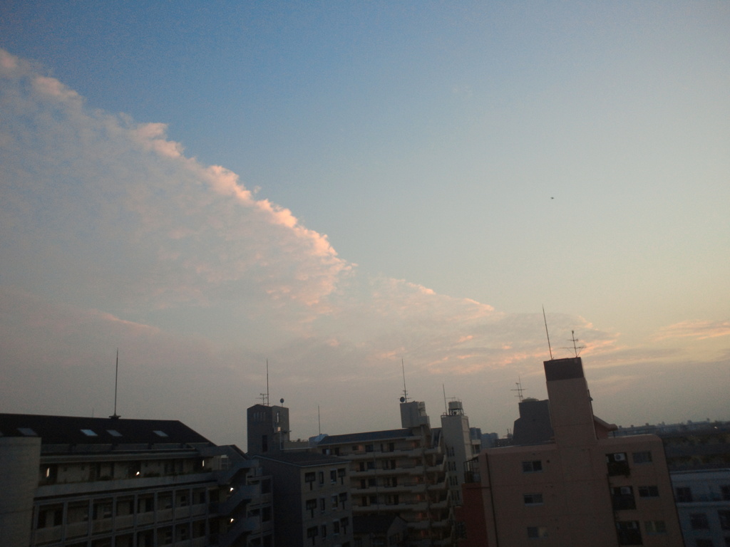 NEC_0217