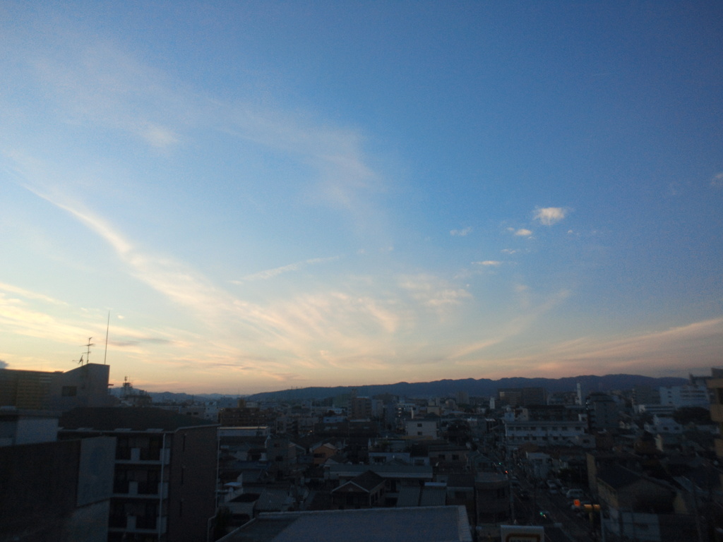 NEC_0210