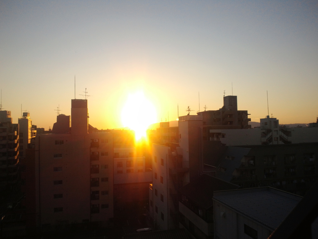NEC_0244