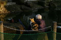 通りすがり猫18