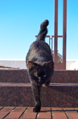 DSC00041