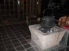 通りすがり猫29