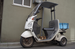 通りすがり猫48