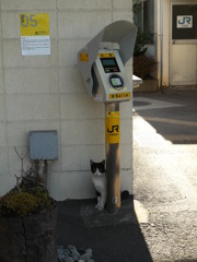 駅猫4