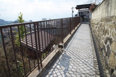 尾道猫83