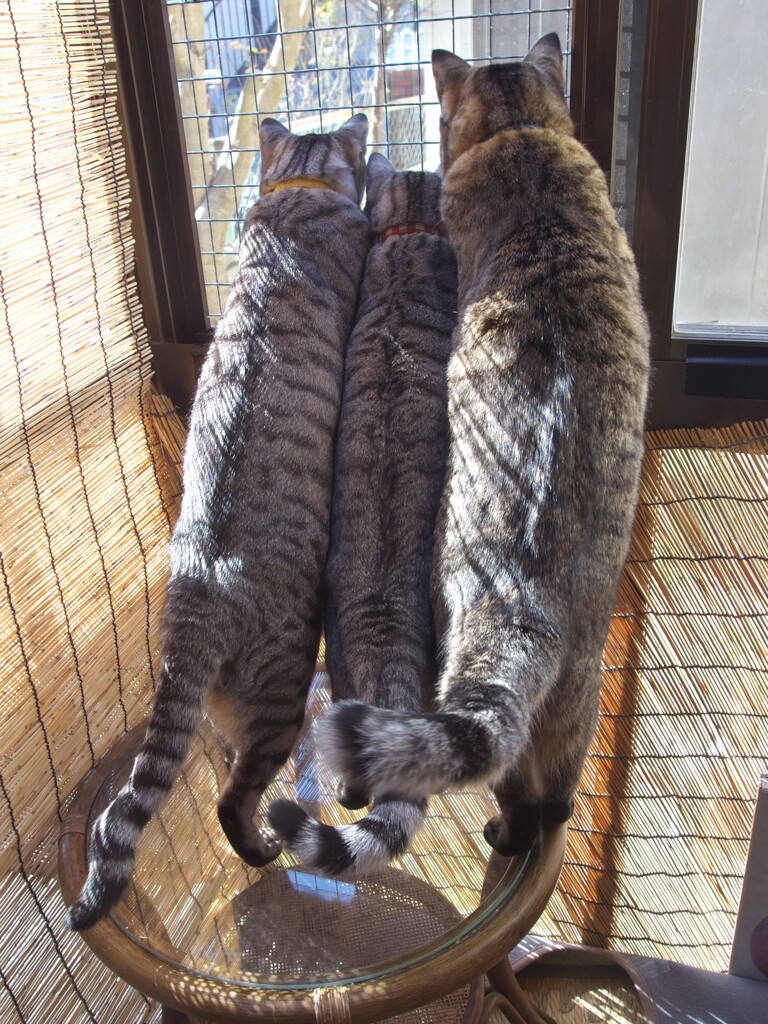 生後一年と四ヵ月