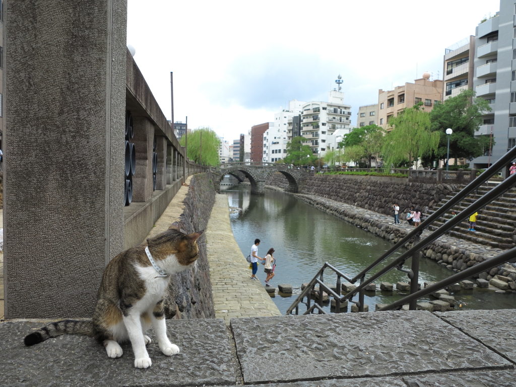 通りすがり猫137