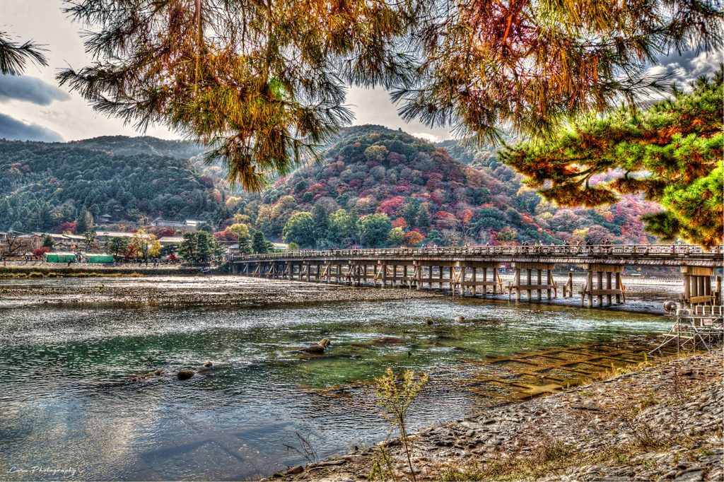2014 渡月橋 ②
