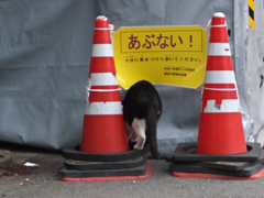 あぶない！