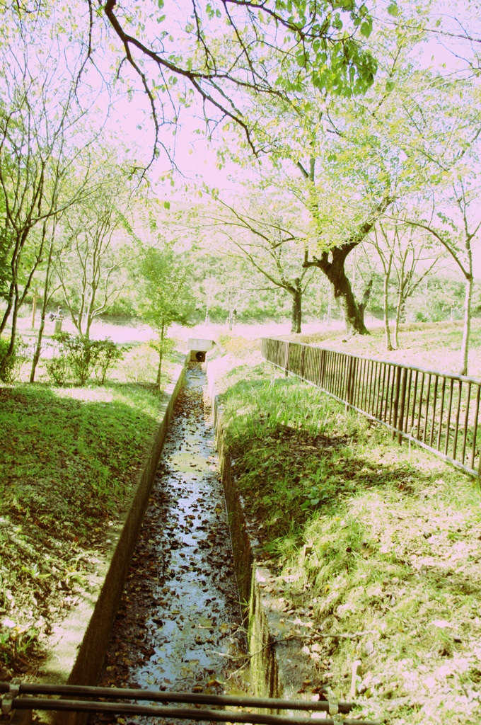 IMGP0769