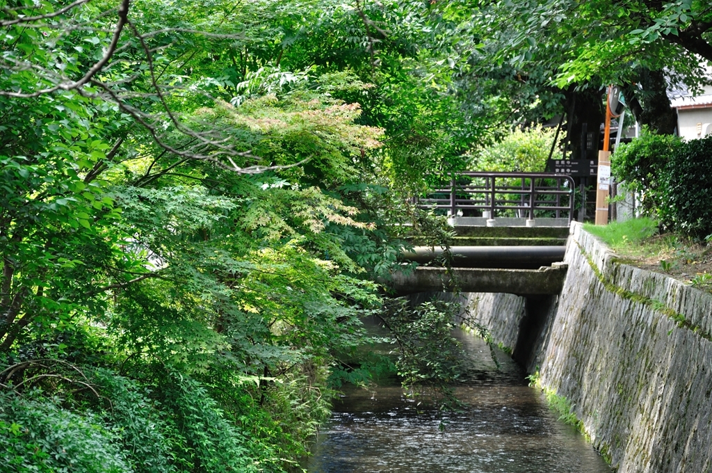 哲学の道：小川
