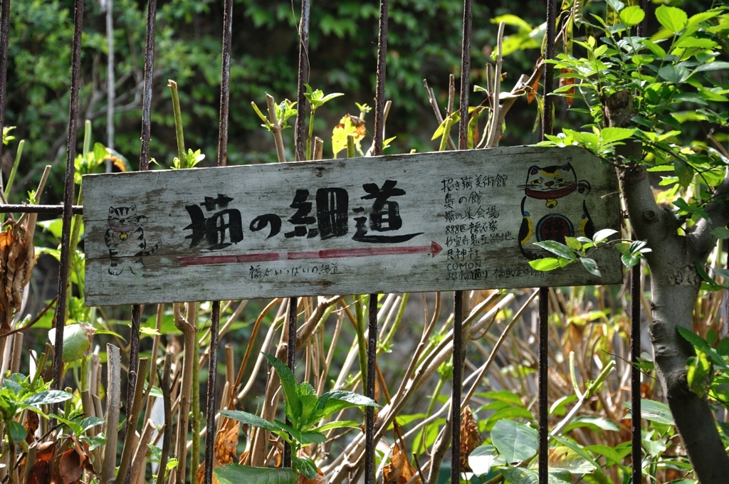 猫の細道