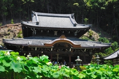 三室戸寺