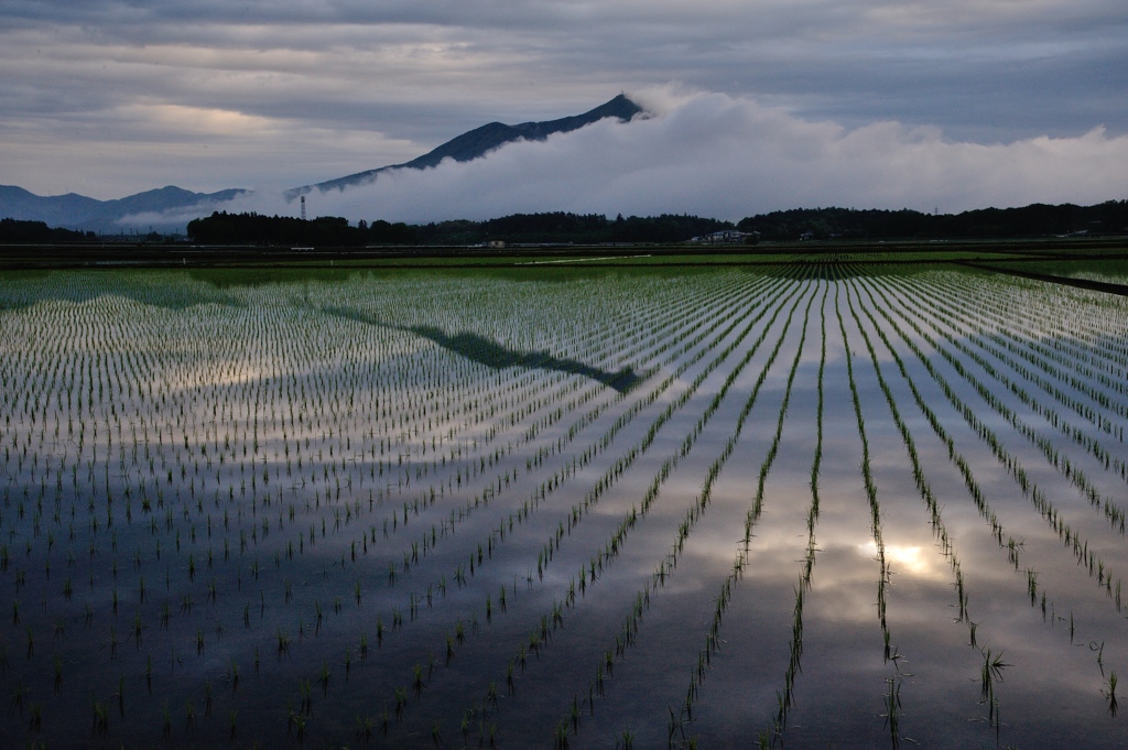 Countryside。。。Day after the rain
