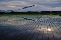 Countryside。。。Day after the rain