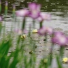 雨音