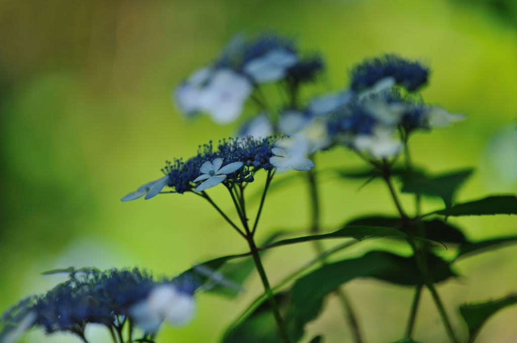 June is fantastic。。。2