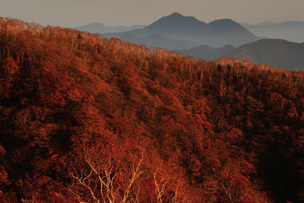 刻の境界線。。。真紅の尾根