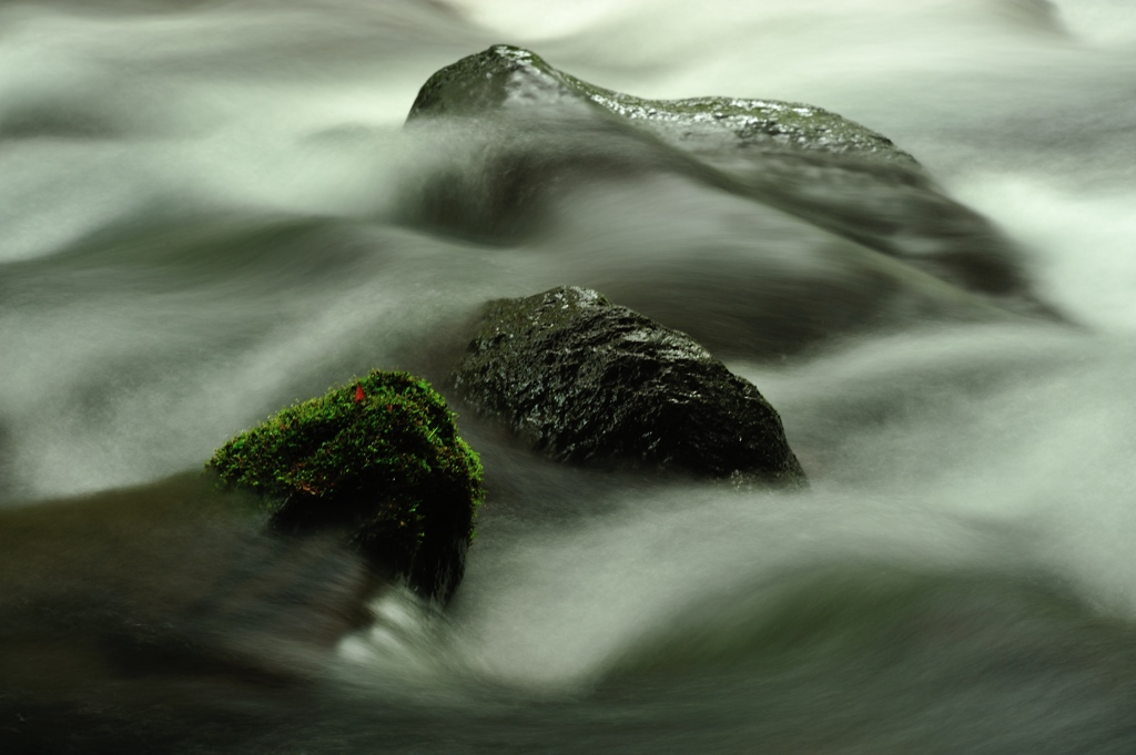 涼やかに。。。Green