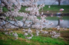 春は長閑に。。。