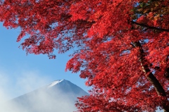 錦秋舞う富士山。。。Ⅲ