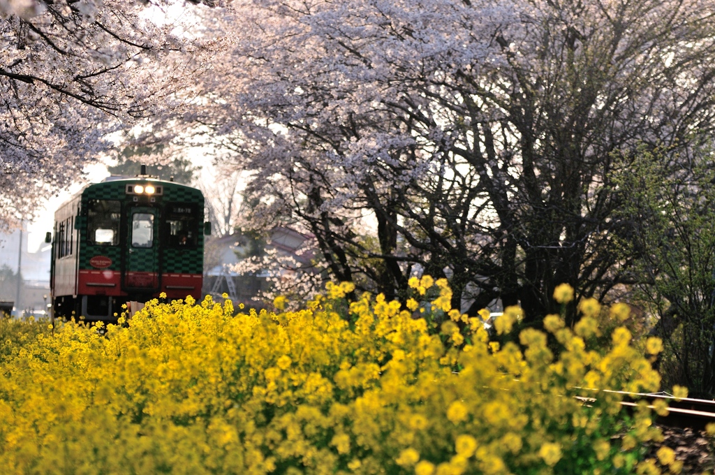 春いろ鉄道