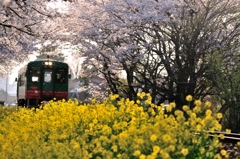 春いろ鉄道