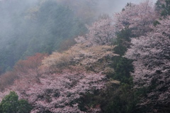 淡彩の春山。。。Ⅱ