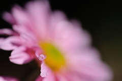 雨粒の記憶