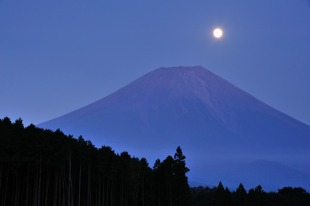月光の宵に