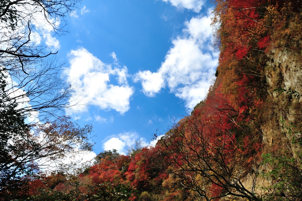 晩秋の渓谷