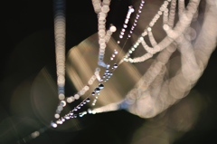 Jewel road