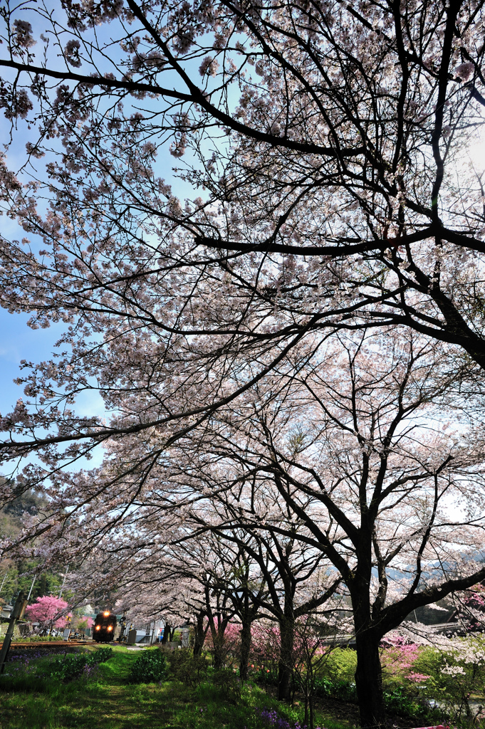 桃源郷を走る。。。1