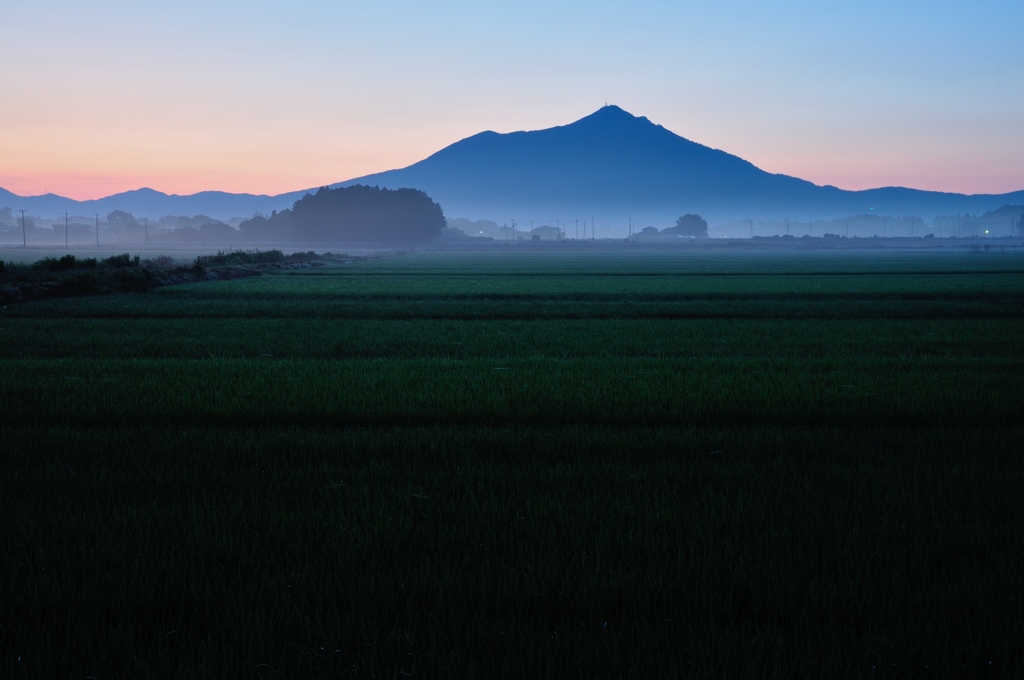 青田の季節
