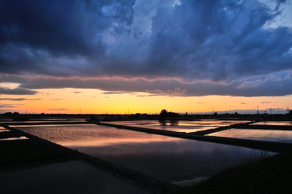 Countryside。。。Time of planting