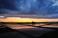 Countryside。。。Time of planting