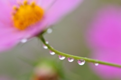 秋雨のピアニシモ。。。♪