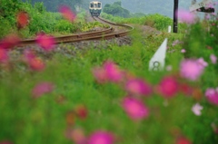 秋待ち鉄道