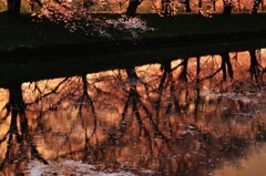春の帰り道