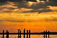 My only sky