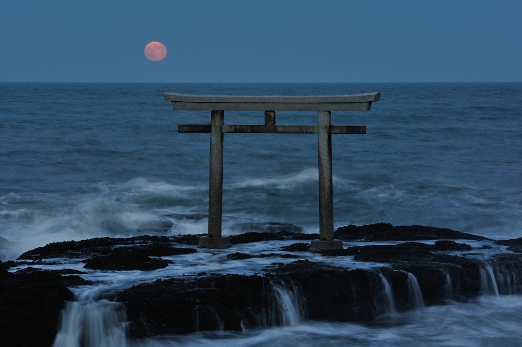 荒ぶる海へ