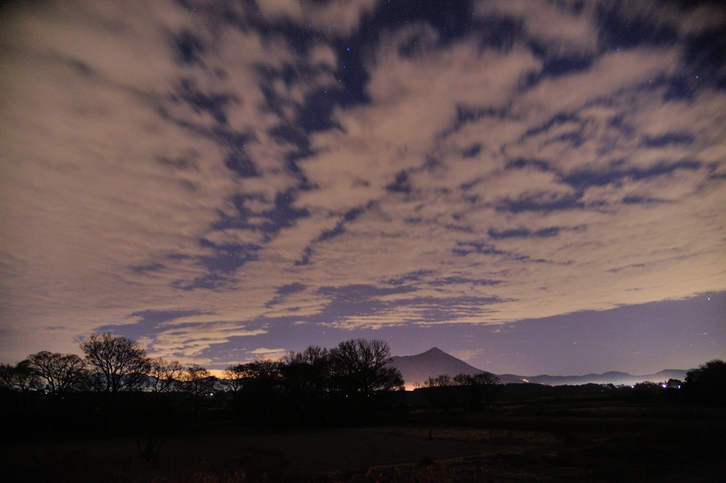 Midwinter Night's Dream