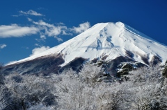 白富士高く