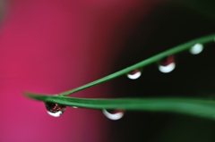 雨粒のモニュメント