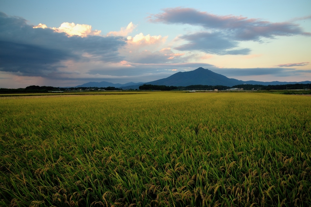 豊穣の田園
