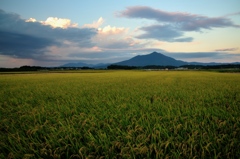 豊穣の田園