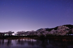 桜池黎明