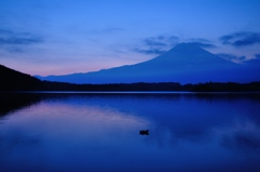 silent shadows