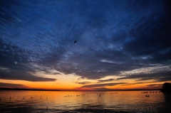 Only my sky